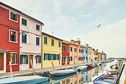 传统,多彩,房子,停泊,船,运河,布拉诺岛,威尼斯,意大利