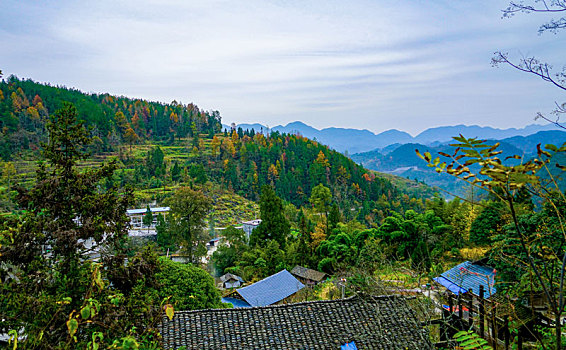 重庆酉阳,冬晨乡村美如画