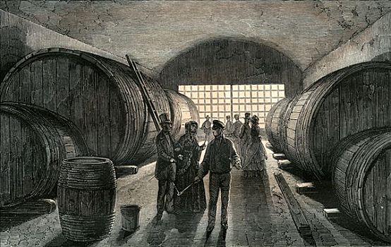 酒窖,法国,19世纪