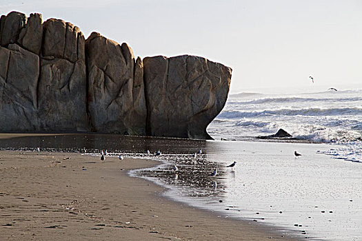 岩石构造,圣多明各,海滩,智利