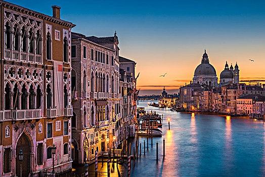 大运河,夜晚,大教堂,圣马利亚,行礼,威尼斯,意大利