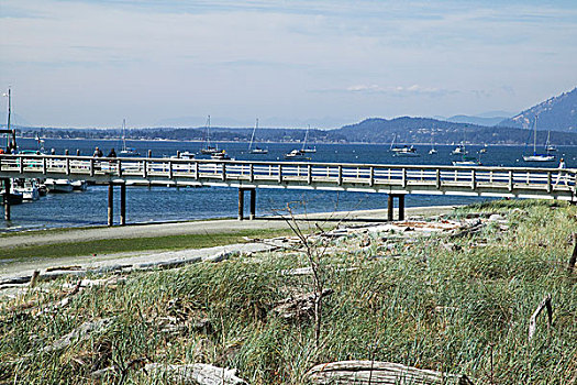 公用,码头,海洋公园,加拿大