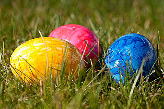 色彩,复活节彩蛋,卧,草