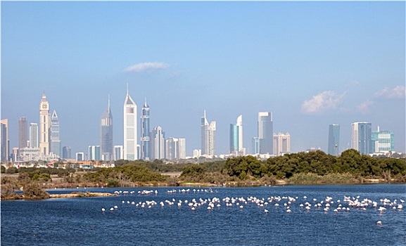 迪拜,天际线,前景,阿联酋