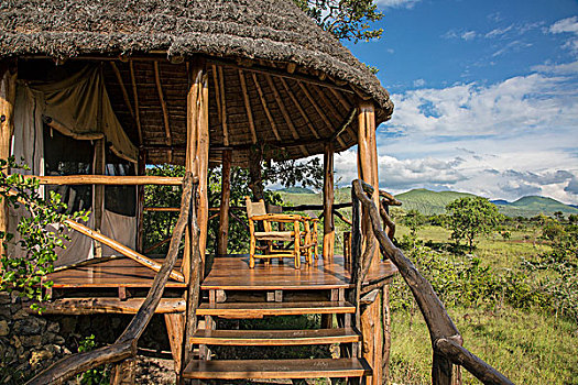 肯尼亚,荒野,奢华,和谐