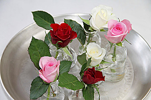 玫瑰,不同,彩色,玻璃花瓶,托盘