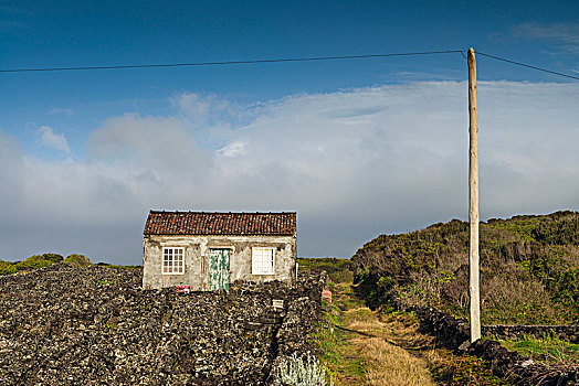 葡萄牙,亚速尔群岛,皮库岛,小,农舍