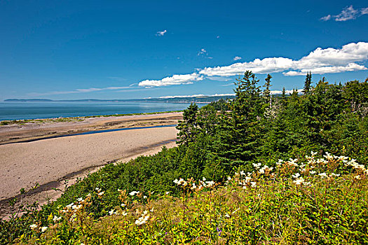 海岸线,港口,芬地湾,新斯科舍省,加拿大