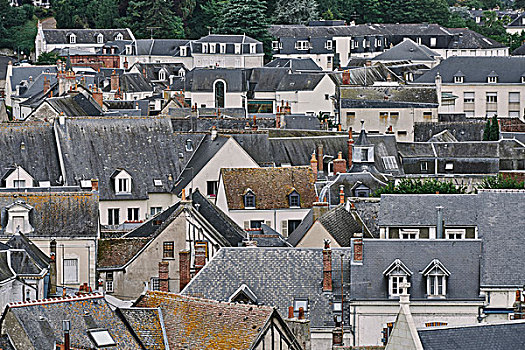 俯视图,传统,独栋别墅,屋顶,昂布瓦斯,卢瓦尔河谷,法国