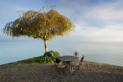 庭院家具,树,早晨,康士坦茨湖,靠近,瑞士,欧洲
