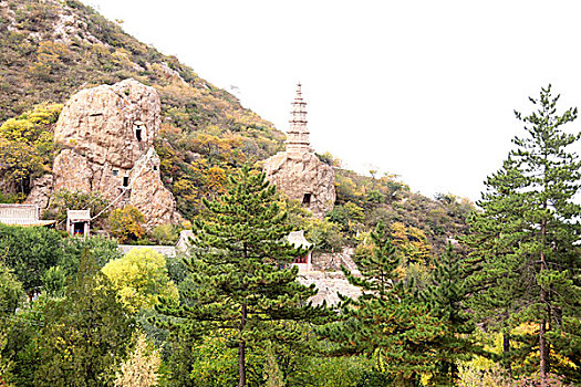 秋染柏林寺