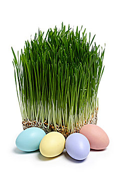 草,复活节,蛋