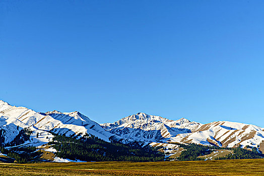 那拉提牧场的草原与雪山