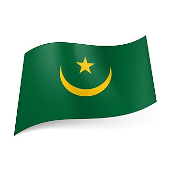 旗帜,象征,巴基斯坦