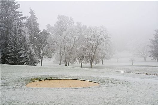 高尔夫球场,道路,房子,冬天,霜,雪,雾,威斯巴登,黑森州,德国