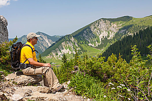 远足者,56岁,坐,石头,享受,风景,靠近,湖,山峦,阿尔卑斯山,巴伐利亚,德国,欧洲