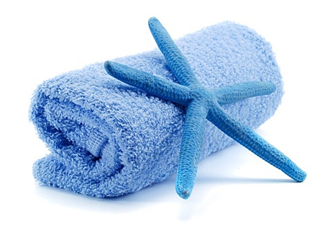 蓝色,毛巾,海星