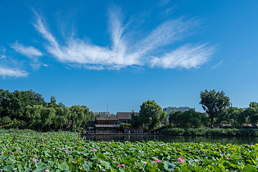 北京什刹西海城市湿地