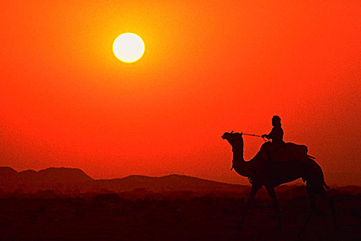 异域风情,旅行,塔尔沙漠,印度