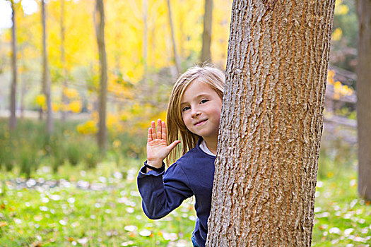 秋日树林,女孩,问候,手,后面,白杨,树干