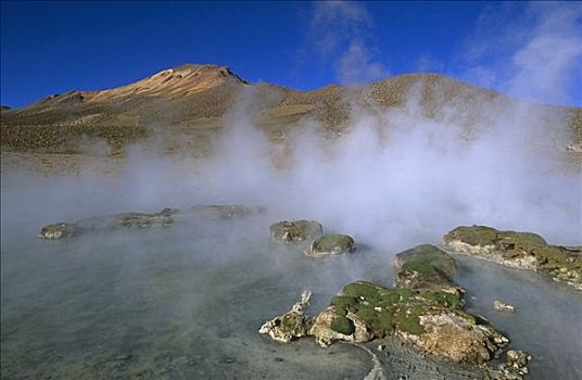温泉,靠近,盐滩,智利