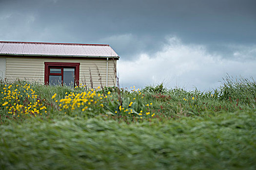 小屋,红色,屋顶,窗户,斯奈山半岛,冰岛