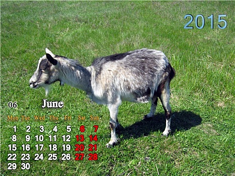 日程,六月,山羊