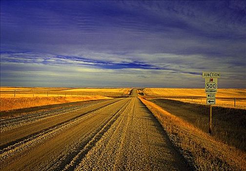 乡间小路,天空,南方,艾伯塔省,加拿大