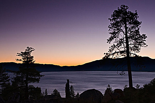 糖,松树,反射,太浩湖,加利福尼亚,黎明