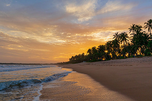 海滩,日落,斯里兰卡,亚洲