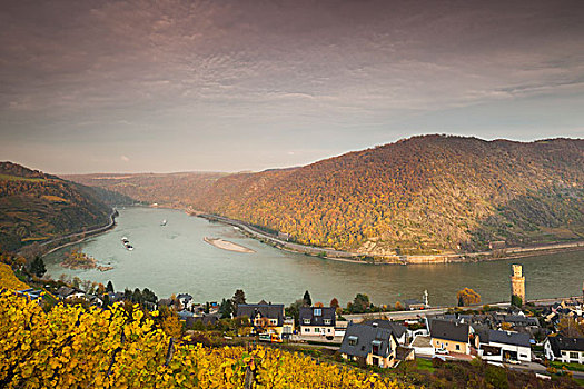 德国,俯视图,莱茵河,弯曲,秋天