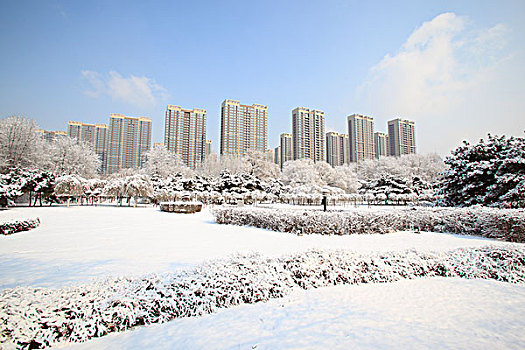 城市,公园,雪,楼房