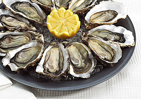 法国,牡蛎,食用牡蛎,海鲜,柠檬,盘子
