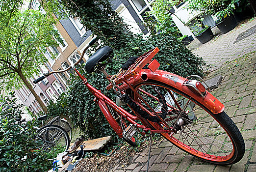 红色,自行车,树下,阿姆斯特丹,荷兰