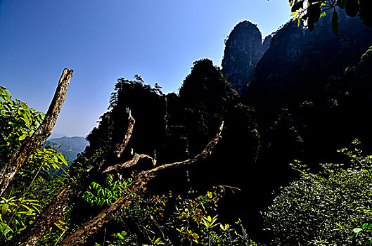 莲花山