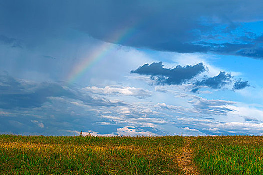 内蒙古呼伦贝尔草原雨后彩虹