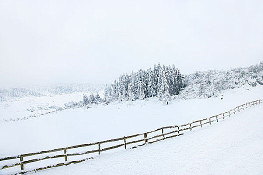 重庆武隆仙女山雪景