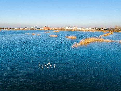 江苏东海,湿地景美如画