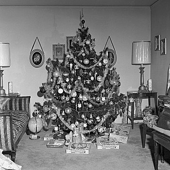 圣诞树,圣诞礼物,客厅