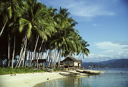 巴布亚新几内亚,岛屿,靠近,海滨城镇,椰树,独木舟
