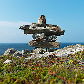 累石堆,岸边,大西洋,海岸,纽芬兰,拉布拉多犬,加拿大