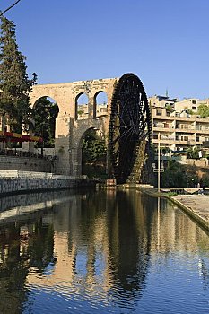 叙利亚,哈马,老城,13世纪,水车