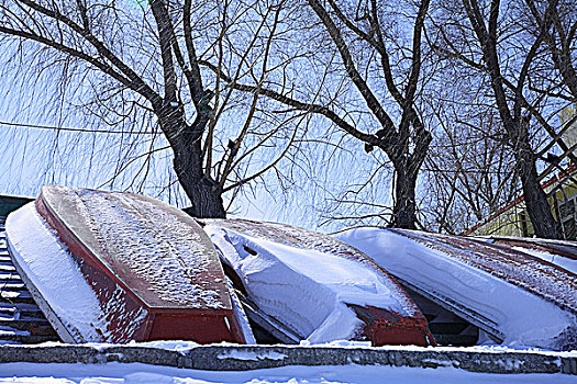 雪中的船与树