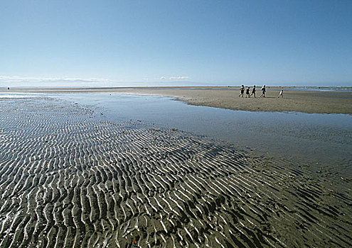 新西兰,岸边,波纹,沙子,水池