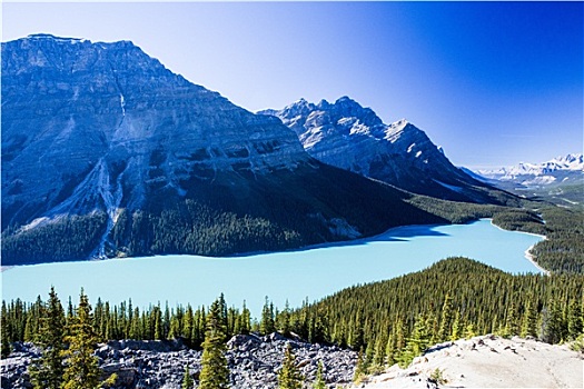 佩多湖,班芙国家公园,落基山脉,艾伯塔省,加拿大