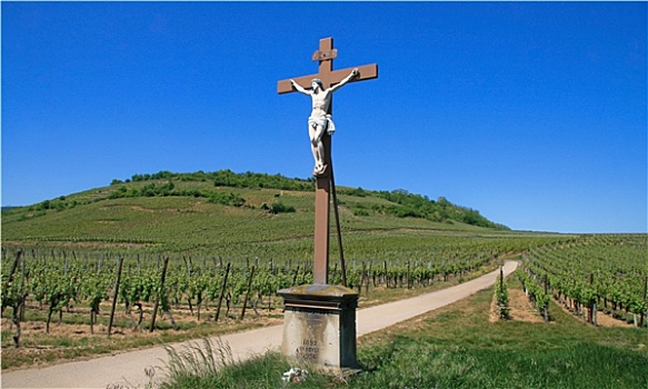 十字架,葡萄园,路线