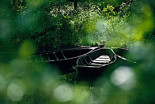 小船,湿地