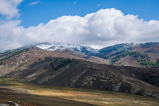 新疆布尔津县喀纳斯国家地质公园山谷草原