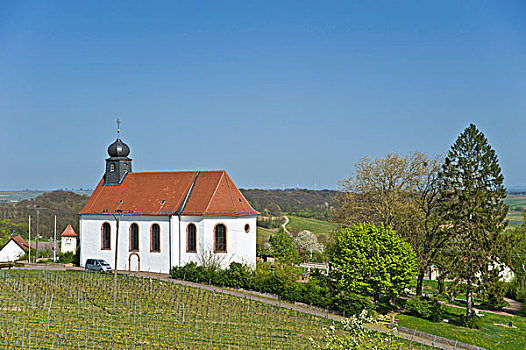 小教堂,德国,德国葡萄酒大街,法尔茨,莱茵兰普法尔茨州,欧洲