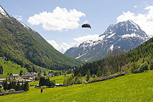 一个,男人,放风筝,草地,阿尔卑斯山,靠近,夏蒙尼,法国